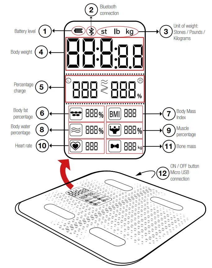 SPORTSTECH BBS300 Personenwaage - Fig 2