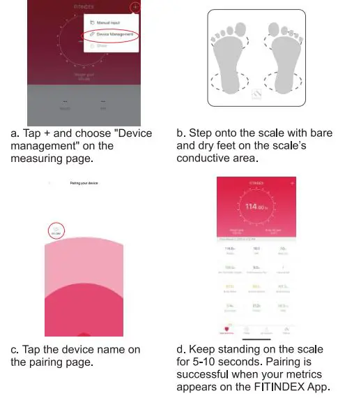 FITINDEX FT-24D Body Composition Scale User Guide - Pairing the Fitindex scale with your smartphone