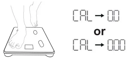 FITINDEX FT-24D Body Composition Scale User Guide - Recalibration