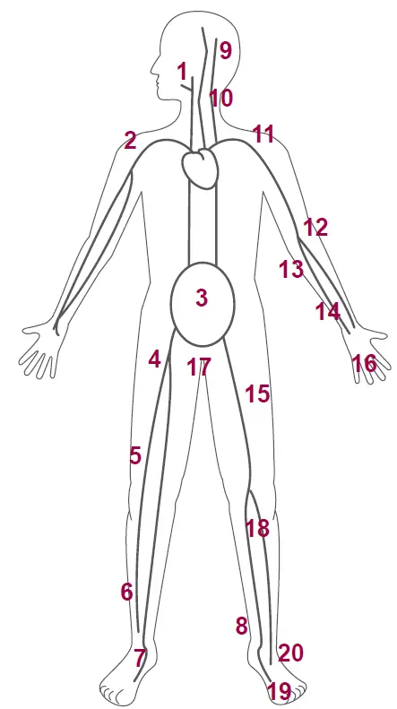 HUNTLEIGH-Dopplex-MD2-Bi-Directional-Doppler- (13)