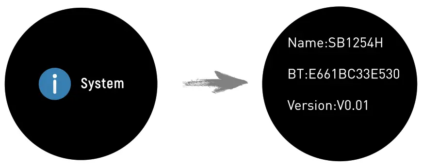 RADLEY S07 Smartwatch - SYSTEM INFORMATION