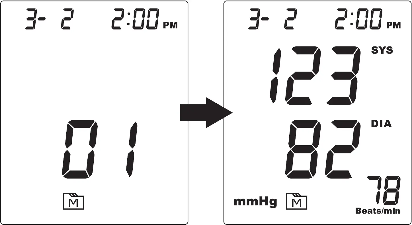 Reviewing Test Results 01