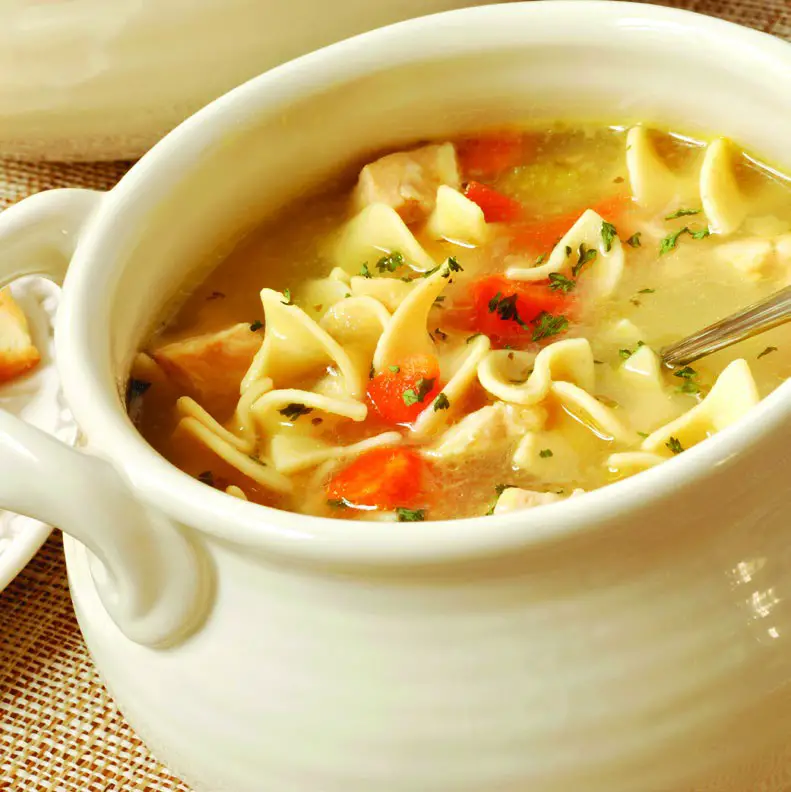 DASH DRCM200 Mini Rice Cooker- CHICKEN NOODLE