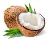 DASH DRCM200 Mini Rice Cooker- thai