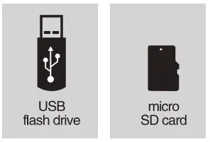 WinBridge S92 Plus Wireless Voice Amplifier Speaker User Manual - How to play usb drive or TF Card