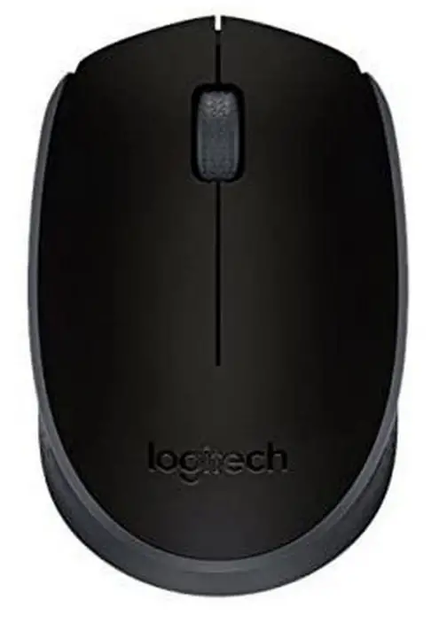 logitech-M171-2-4Ghz-Wireless-Gaming-Mouse-PRODUCT