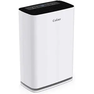 Inofia Room Air Purifier