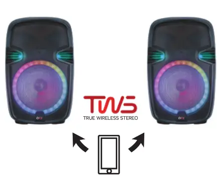 QFX PBX-153SM Portable Speaker - fig 5