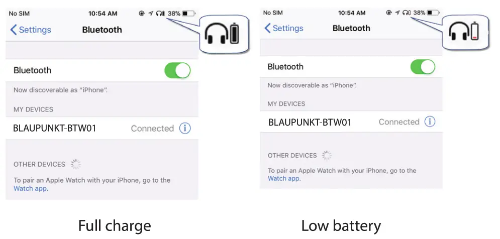 BLAUPUNKT Ture Wireless BTW-01 - Settings