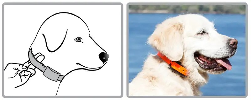 PetSpy-M686B-Dog-Trainer-Shock-Collar (6)