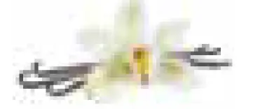 NINJA CREAMi Deluxe 11-in-1 Ice Cream and Frozen Treat Maker 14