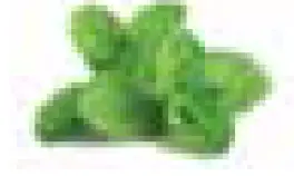 NINJA CREAMi Deluxe 11-in-1 Ice Cream and Frozen Treat Maker 14