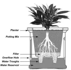 TRACTOR SUPPLY 5865 Nantucket 16 Inch Planter - fig4