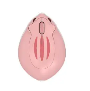 Shenzhen Najia Electronic Hamster Akko Shape 2.4GHz Wireless Mouse