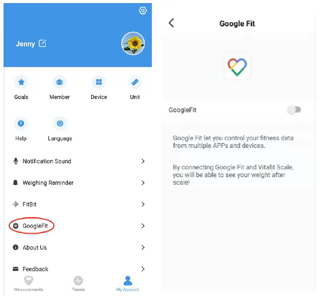 Google Fit