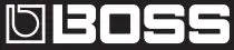 BOSS LOGO