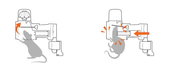 goodnature-A24-Rat-and-Mouse-Trap-Home-Trapping-Kit-FIG-2