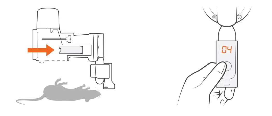 goodnature-A24-Rat-and-Mouse-Trap-Home-Trapping-Kit-FIG-3