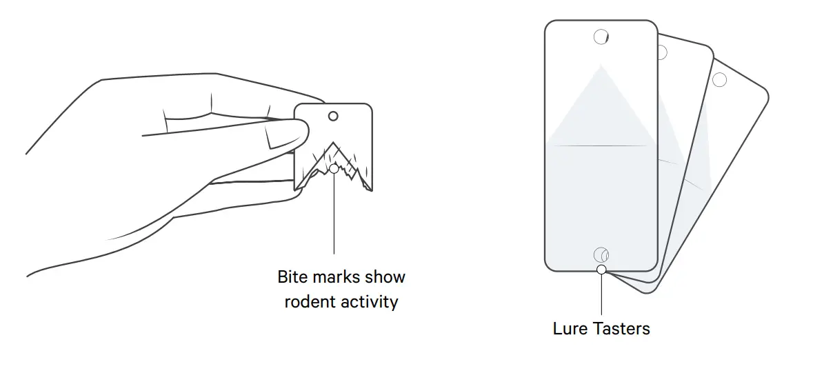 goodnature-A24-Rat-and-Mouse-Trap-Home-Trapping-Kit-FIG-4