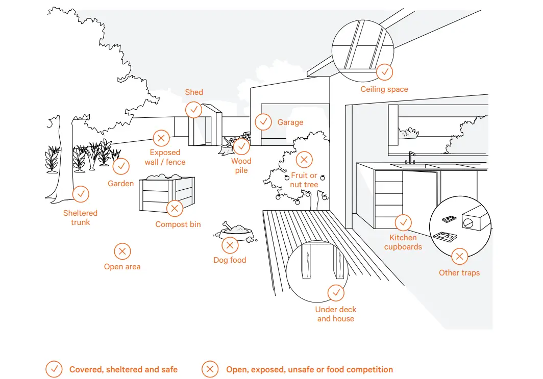goodnature-A24-Rat-and-Mouse-Trap-Home-Trapping-Kit-FIG-7