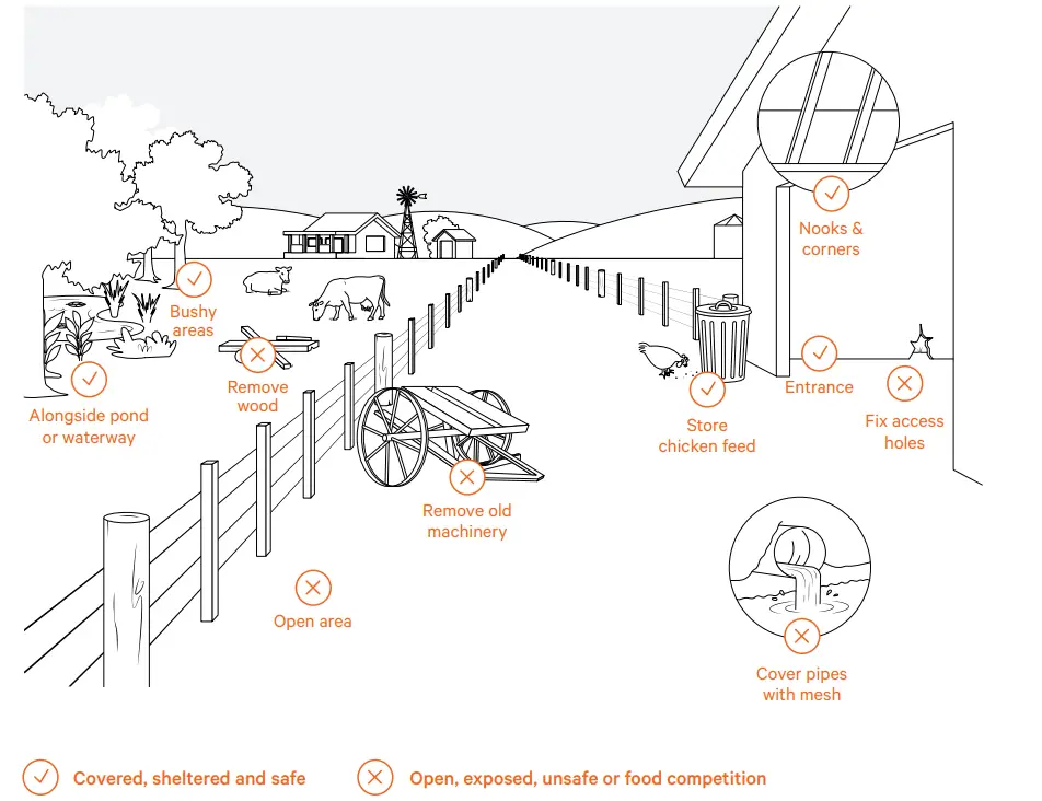 goodnature-A24-Rat-and-Mouse-Trap-Home-Trapping-Kit-FIG-8