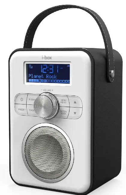 i-box 79313PI Attune Portable DAB FM Radio with Bluetooth
