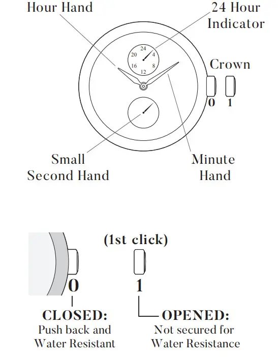 EARNSHAW ES 8119 66 Watch - Display