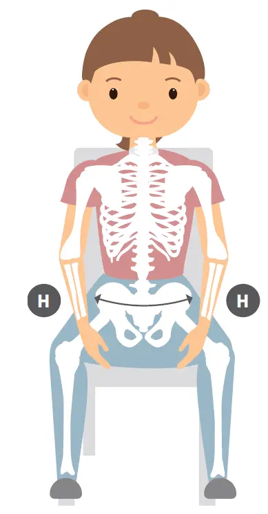 R82 Y-hip belt fig 1