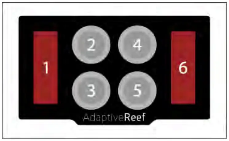Switch numbering diagram