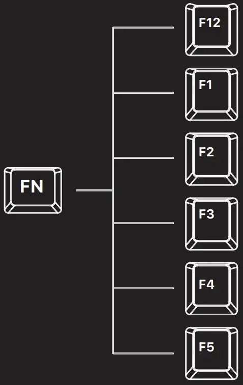 Customize the LED Light