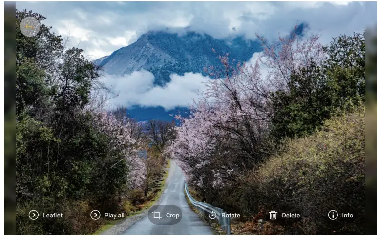 KODAK RCF Series WiFi Classic Photo - 17