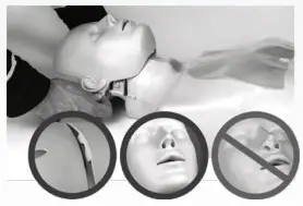 CPR Taylor CPRTY2 Monitor for Electronic CPR Training - ASSEMBLY 2