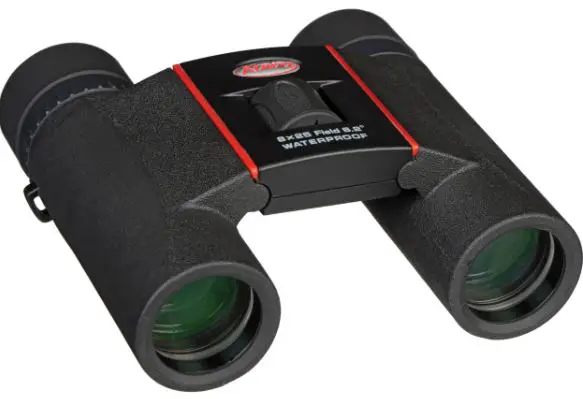 Kowa SVI 25-8 Binoculars
