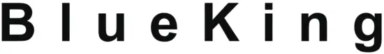 BlueKing Logo