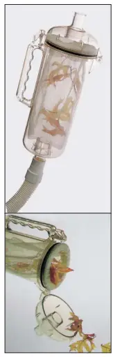 PENTAIR-K60430-Kreepy-Krauly-Kruiser-Inground-Suction-Pool-Cleaner-fig-12