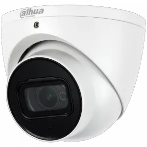 dahua Eyeball Network Camera
