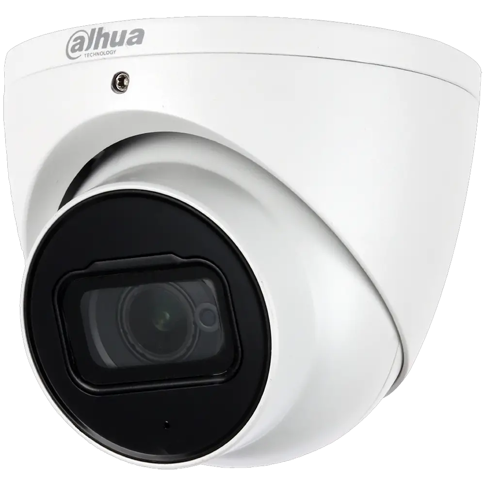 Dahua Eyeball Network Camera User Guide Dahua Eyeball Network Camera User Guide