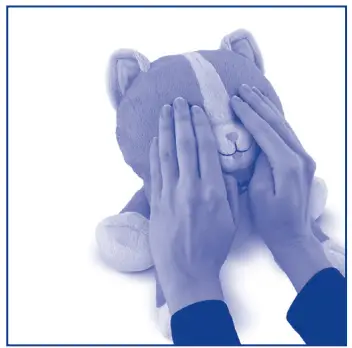 chicco-00010770000000-Peekaboo-Cat-and-Peekaboo-Pony-1