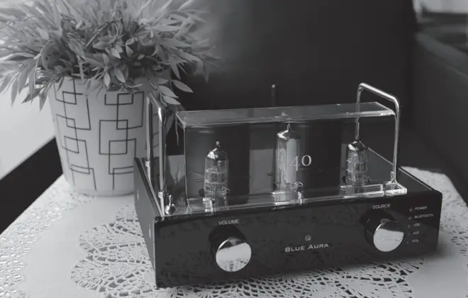 BLUE AURA v40 Blackline Amplifier fig 10