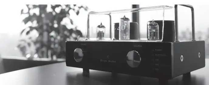 BLUE AURA v40 Blackline Amplifier fig 3