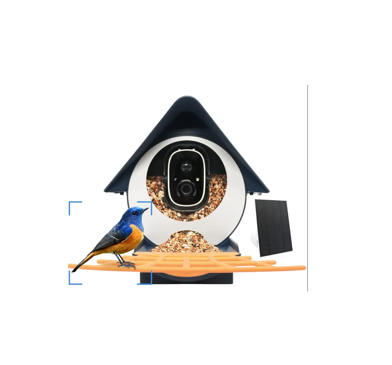 Birdkiss Bc01 Smart Bird Feeder User Manual