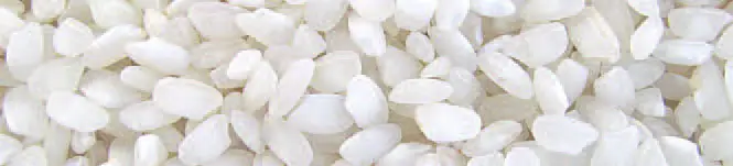 SQ professional 9322 Durane 800ML Stainless Steel Rice Cooker fig4