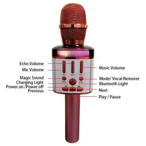 Dongguan Wansheng Technology Q30-I Bluetooth Karaoke Microphone - Structure