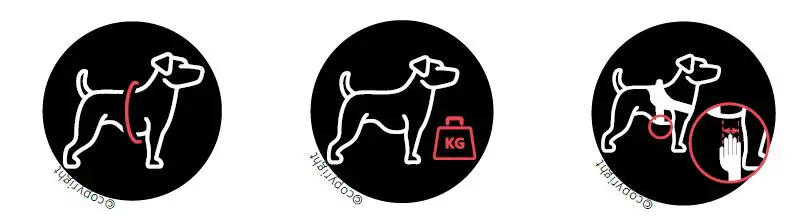 JULIUS-K9 IDC-Powertuig-2XS-Baby2-Mini-fig-1