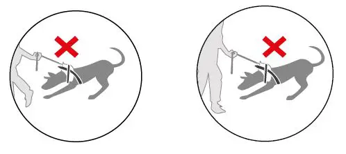 JULIUS-K9 IDC-Powertuig-2XS-Baby2-Mini-fig-6