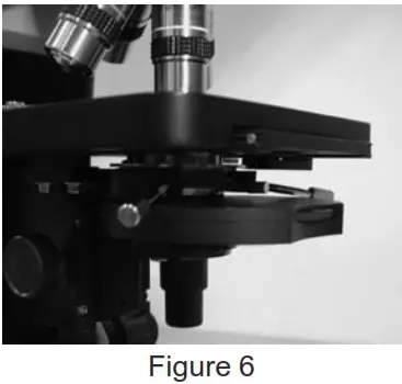 VEE GEE 1421BRi Van Guard 1400 Series Professional Compound Microscope - Figure 6
