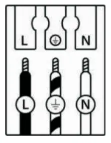 QAZQ 96862 96863 Uma FL - Icon 12