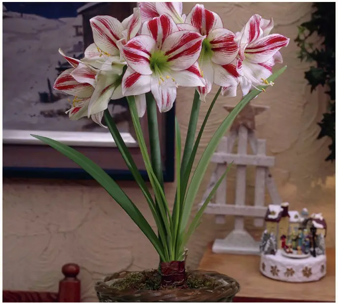 VAN ZYVERDEN 87353 Round Table Top Rattan Basket