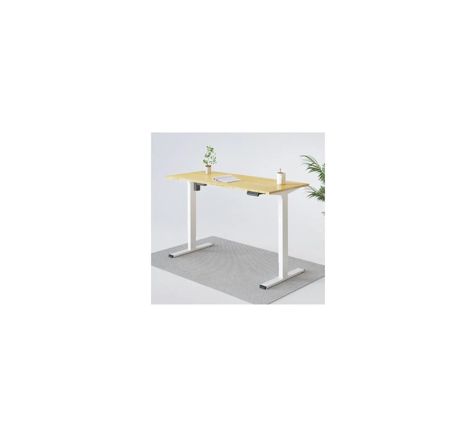 Flexispot Ec4b-ib Electric Height Adjustable Standing Desk User Manual Flexispot Ec4b-ib Electric Height Adjustable Standing Desk User Manual