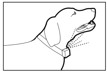 PetSafe 514406 Automatic Spray Bark Control Collar - fig 7